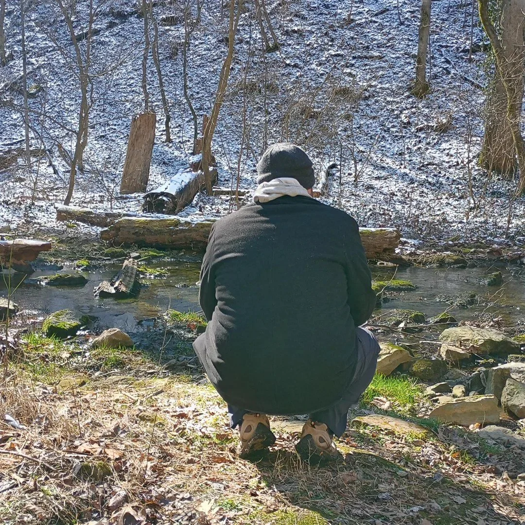 A winter walk