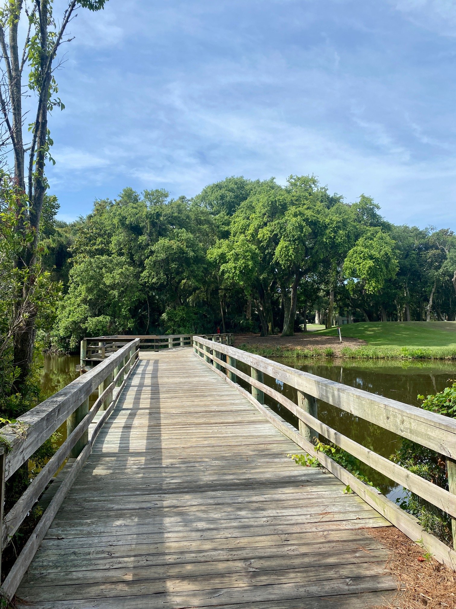 Wooden bridge over a body of water with green trees and a grassy area in the background under a partly cloudy sky.