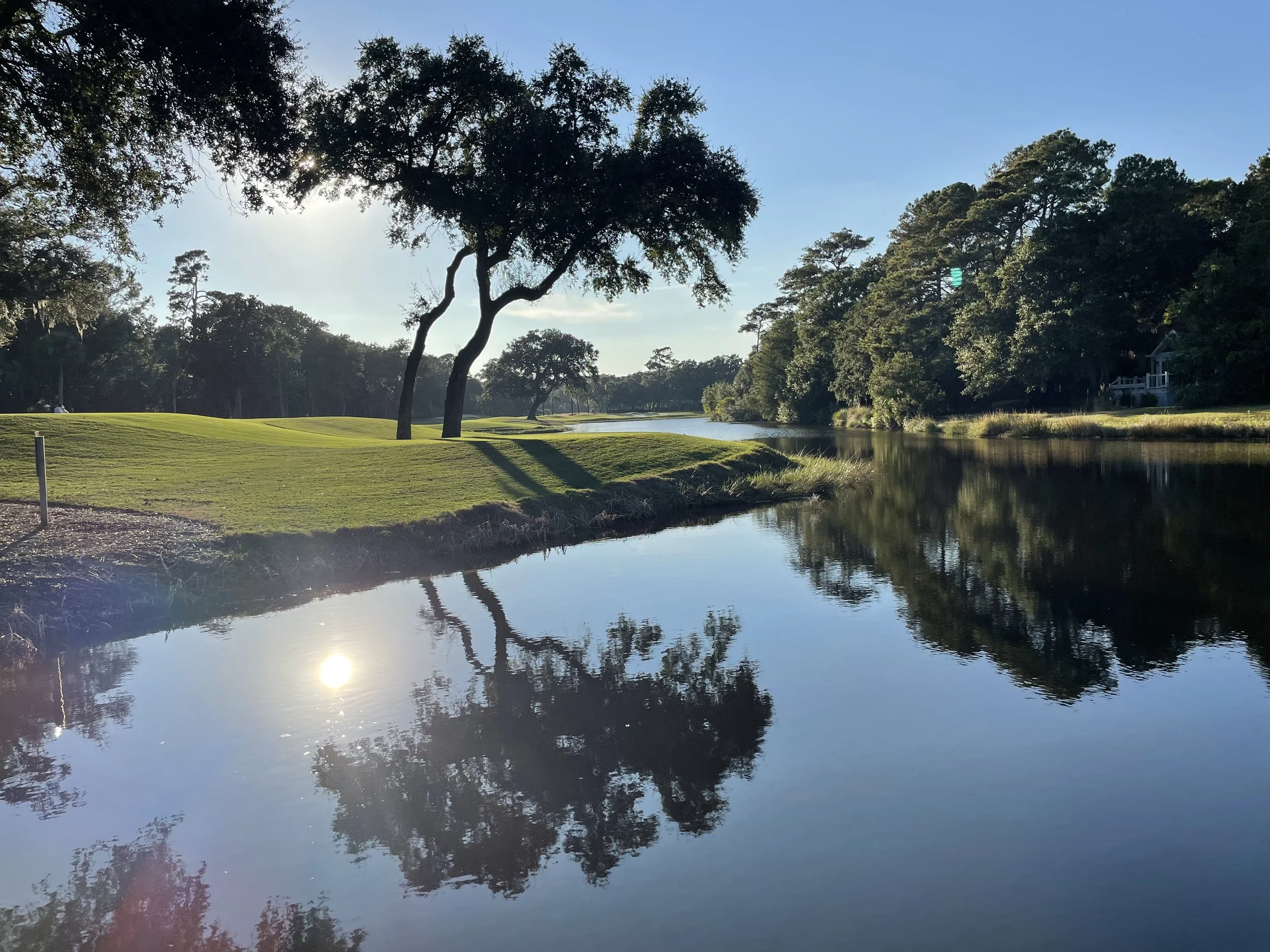 Sunlit golf course with lush green grass, large trees casting shadows, and a calm water body reflecting the trees and a bright blue sky.