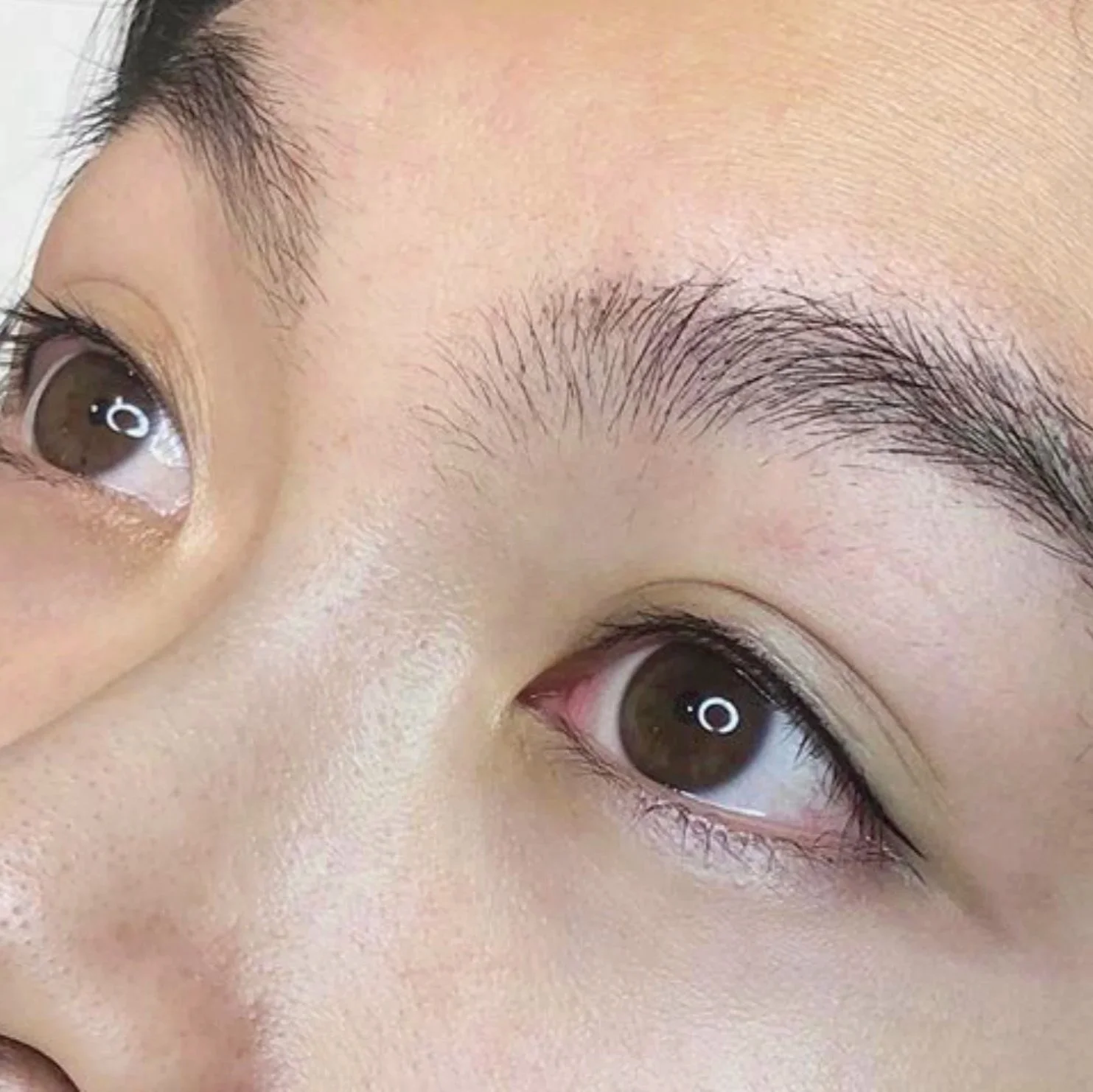 Lash Liner