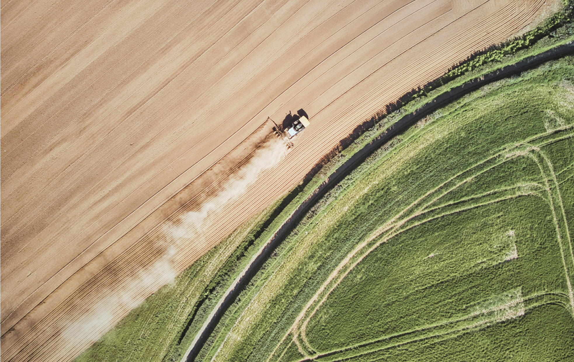 The Path of Destruction: Caused By Commercial Farming