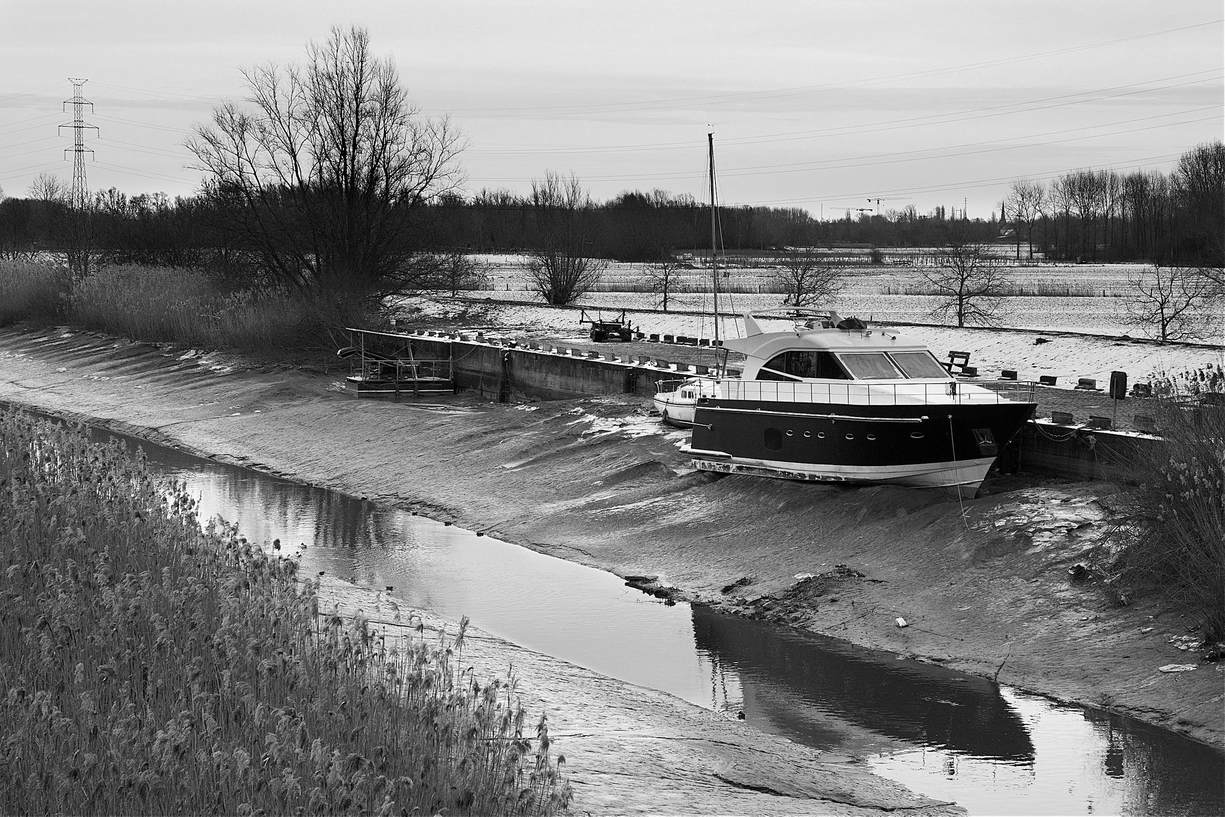 DSC_3537.H_1800.jpg