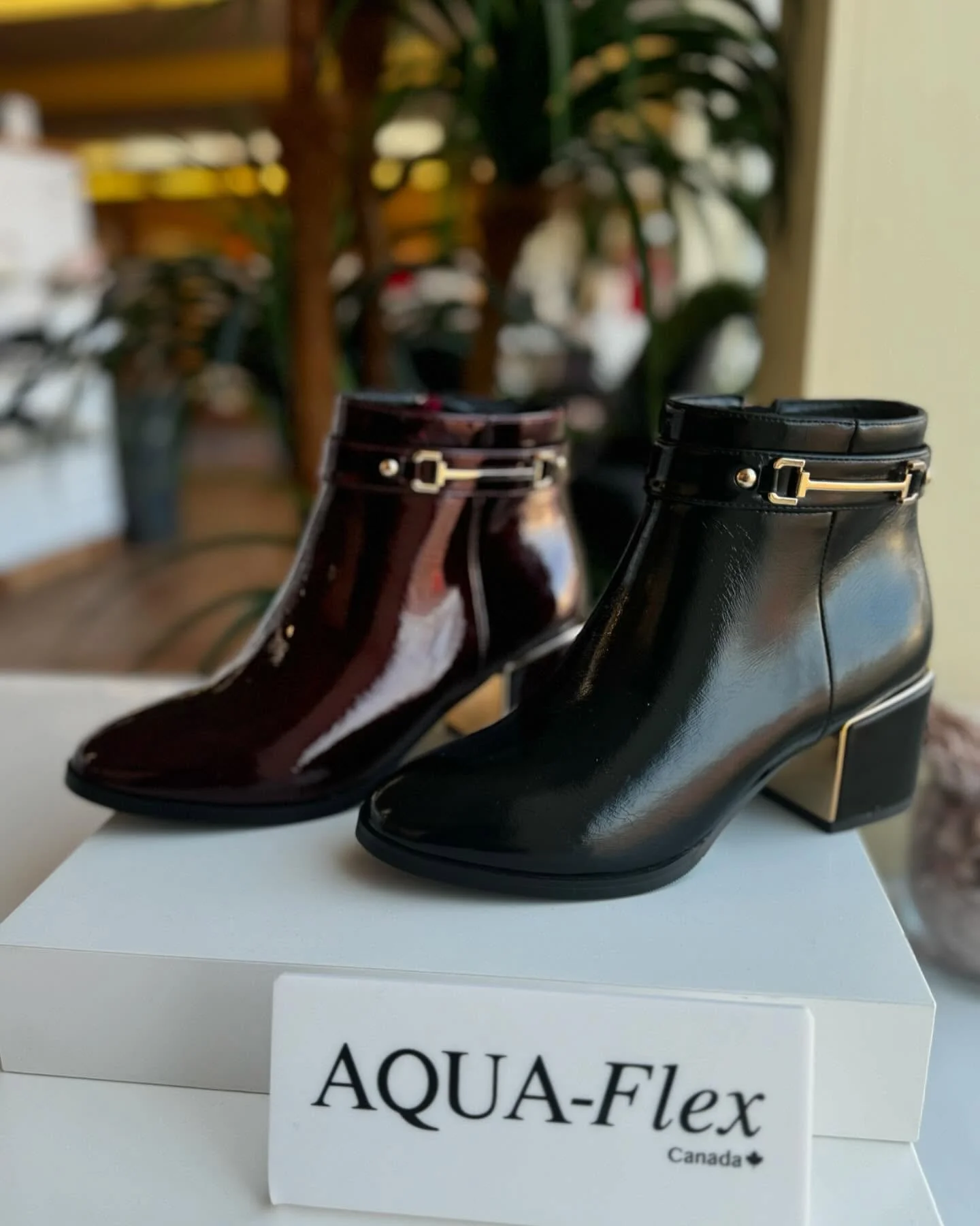 Pair of shiny ankle boots, one in dark red and one in black, displayed on a white box labeled AQUA-Flex Canada.