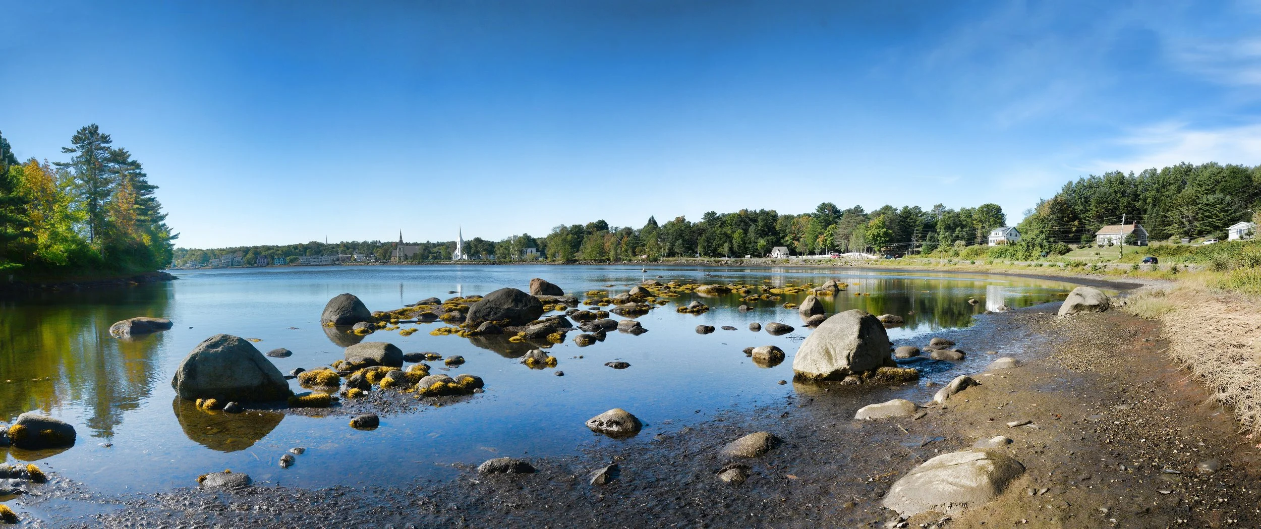 A calm river with large rocks along the shore under a clear blue sky, lined with trees and houses in the distance.