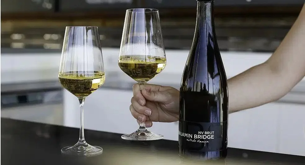 Person holding a glass of white wine next to a bottle of bubbly wine on a counter.