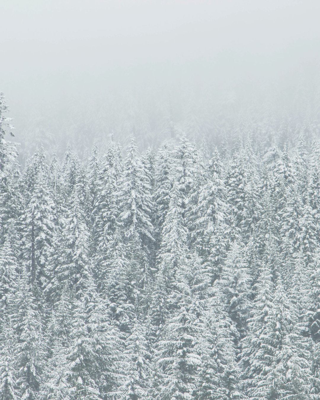 Human Being or Human Doing.