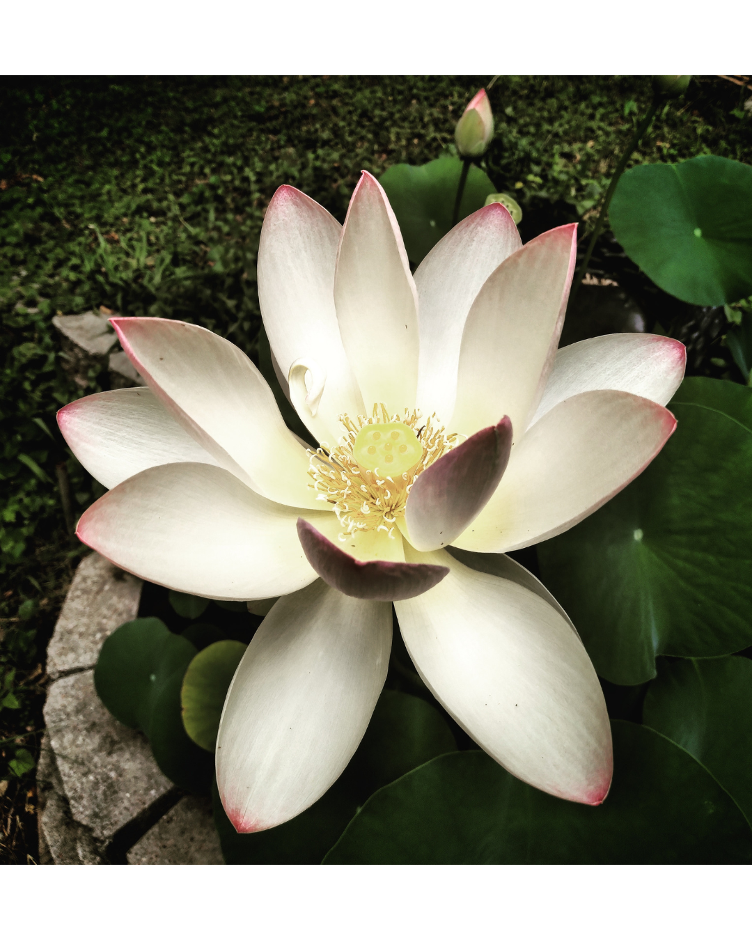 You can’t always talk your way into wellness