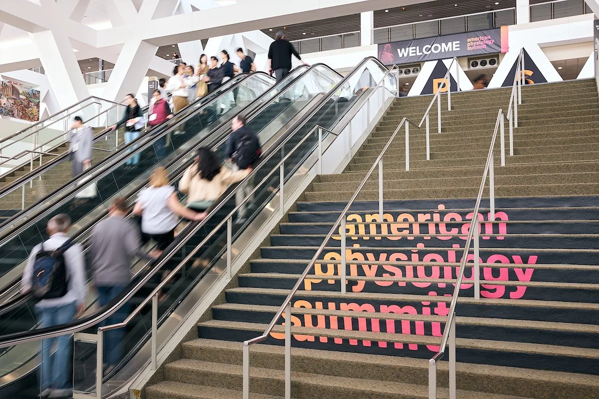 2025 Summit Friday Stairs (1).jpg