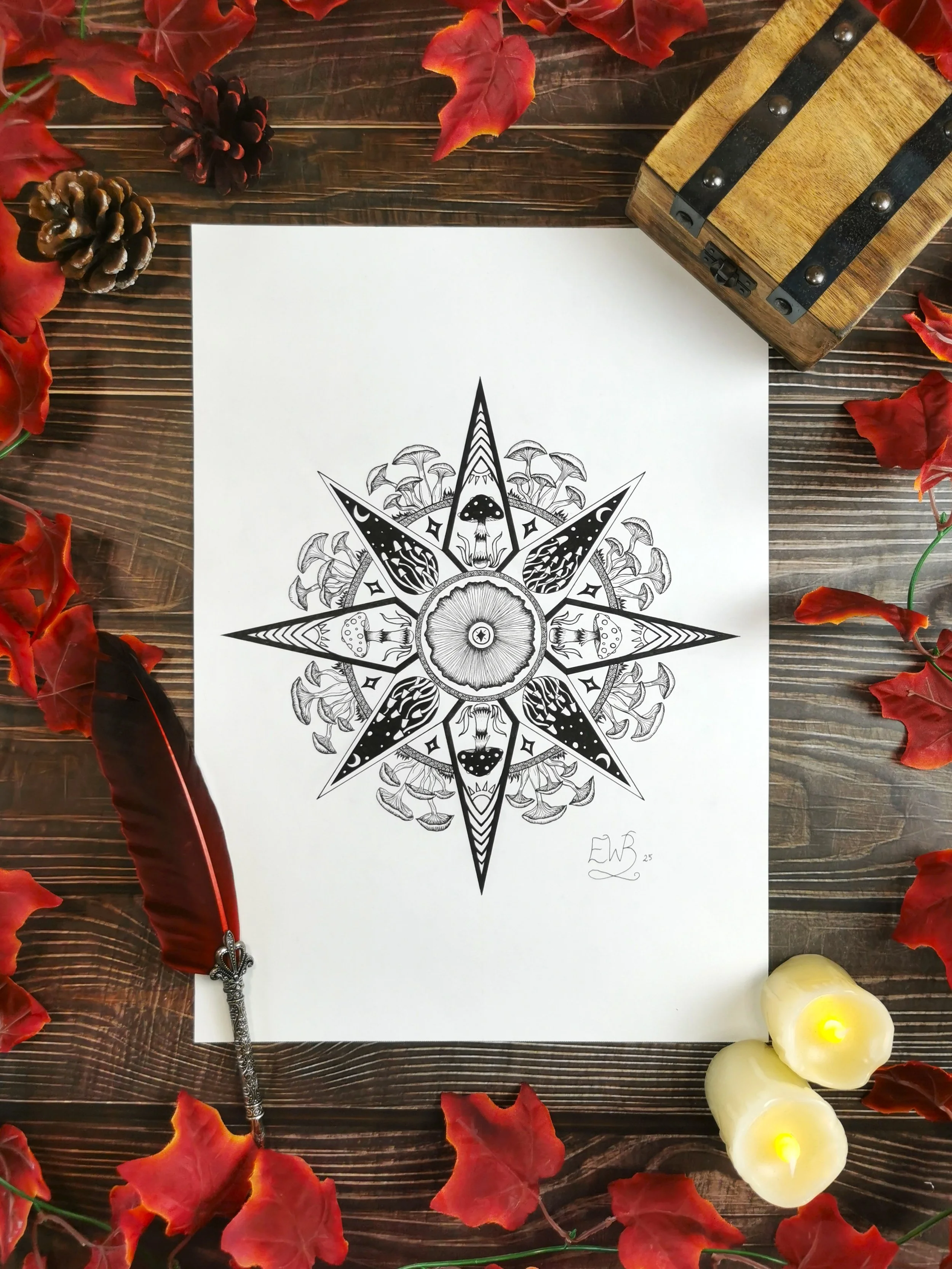 Mushroom Compass 1.jpg
