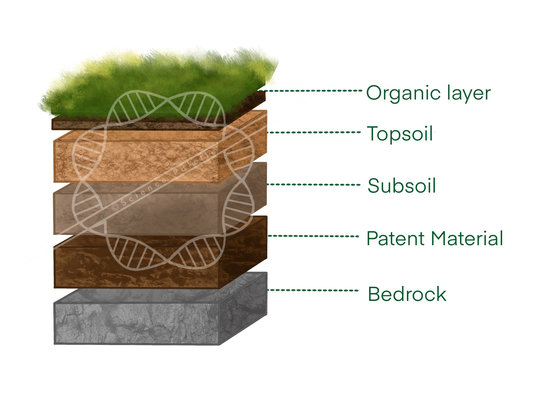 Untitled_Artwork 1.jpg