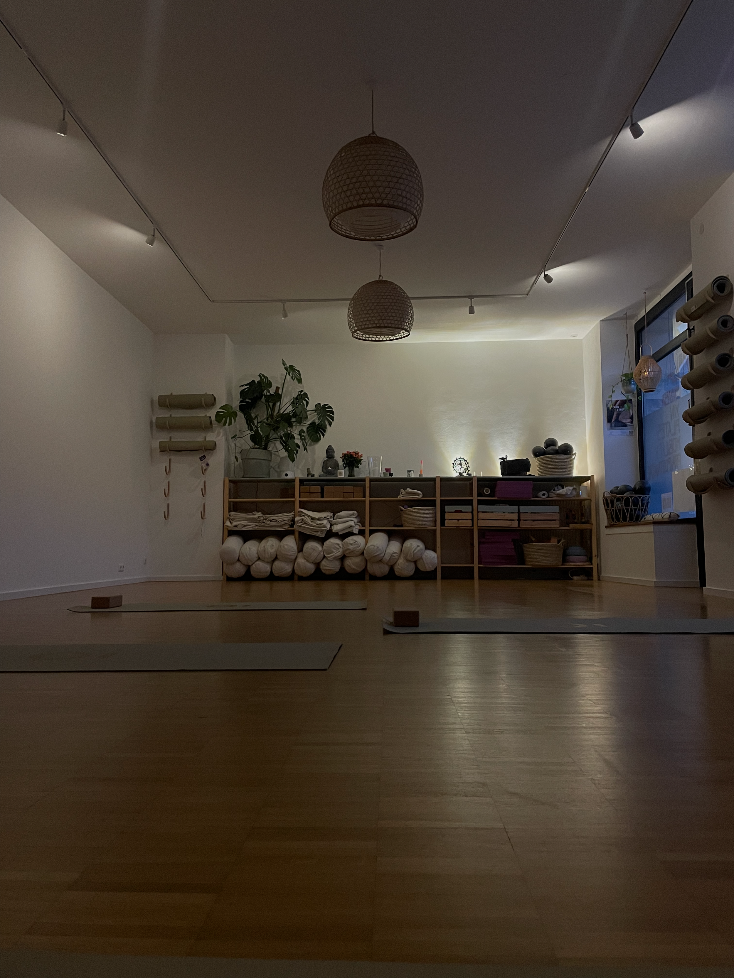 pilates am zenettiplatz