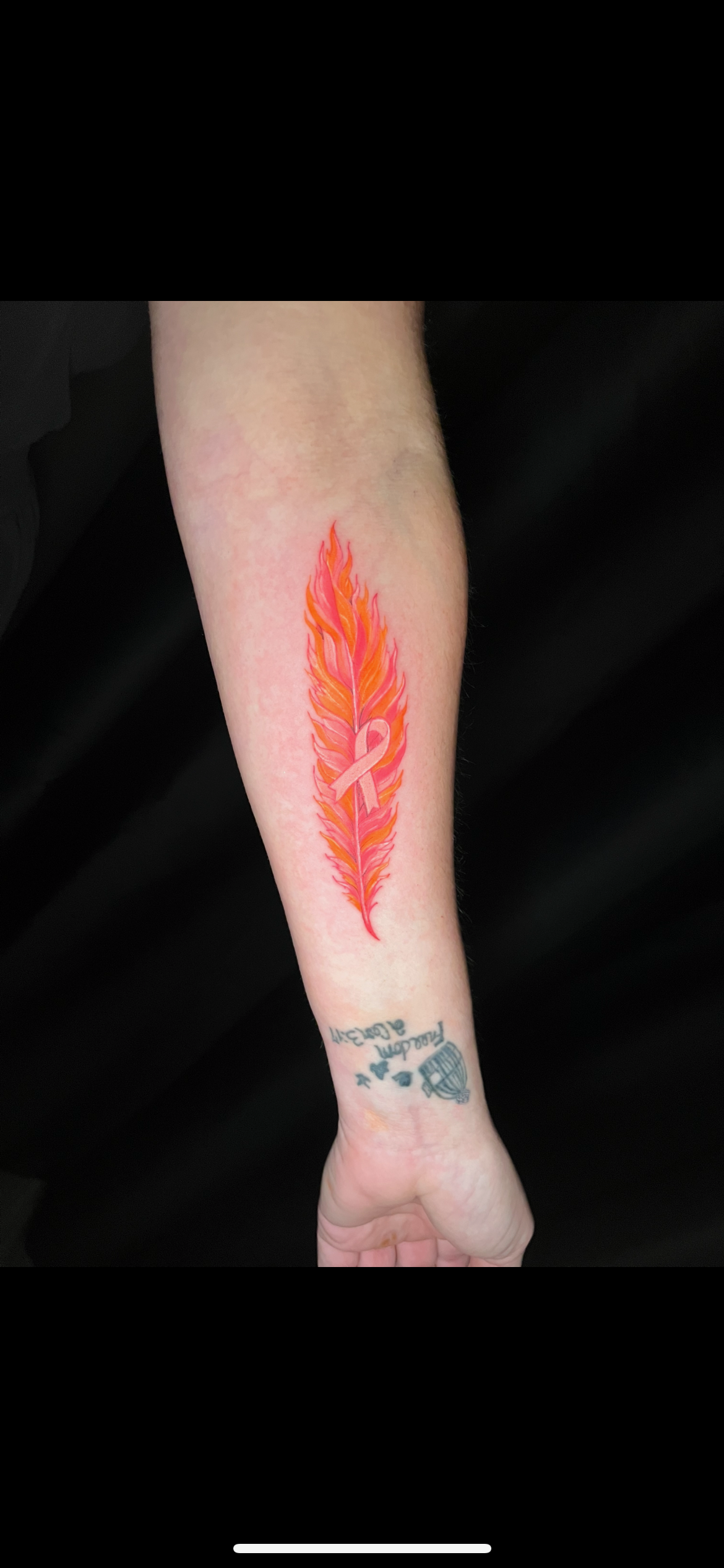 nature scene cover up 