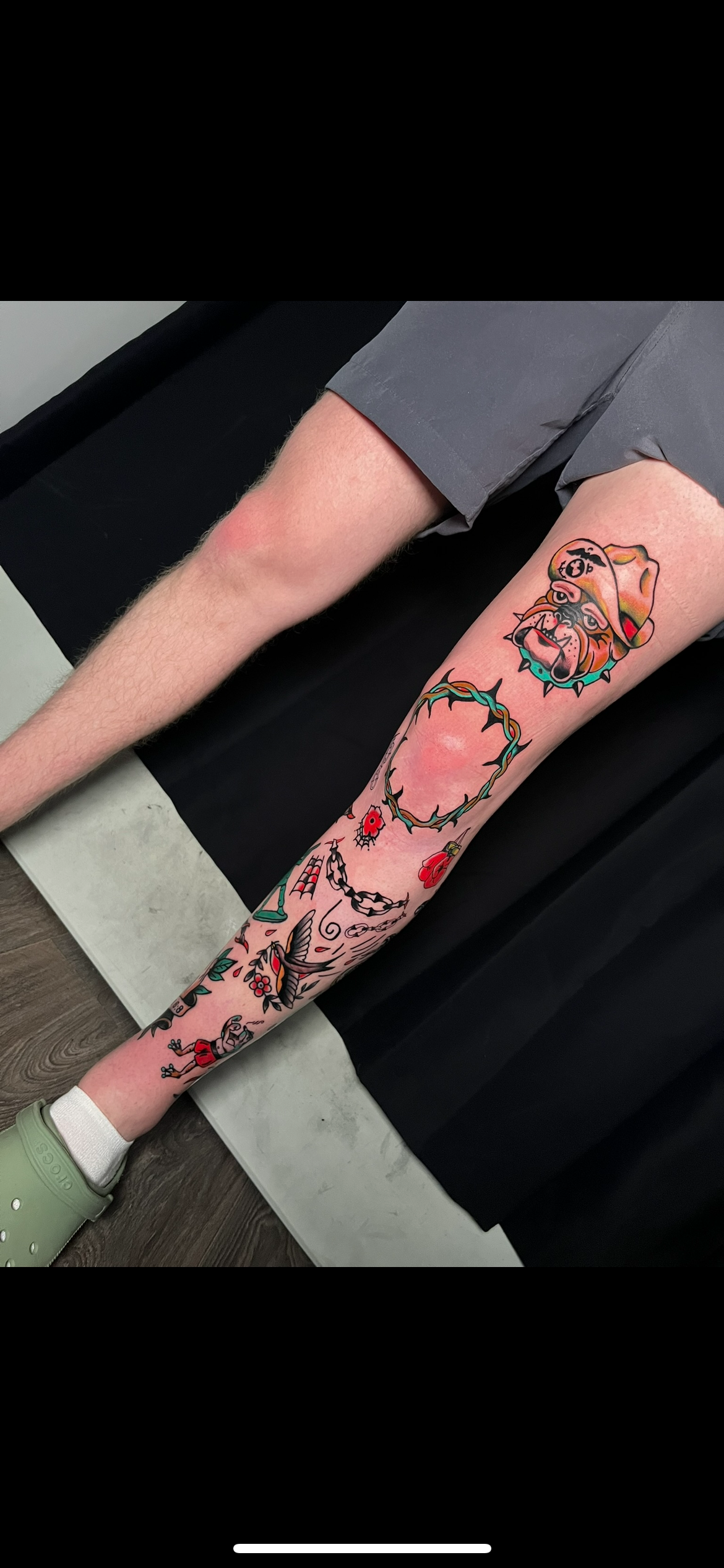 realistic eagle tatto with blue eyes