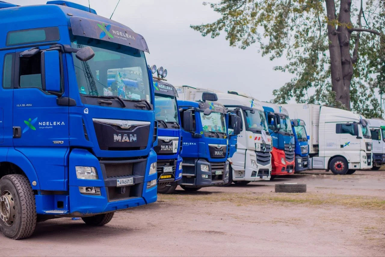 Une rangée de camions bleus et blancs stationnés sur un terrain en terre avec des arbres en arrière-plan.