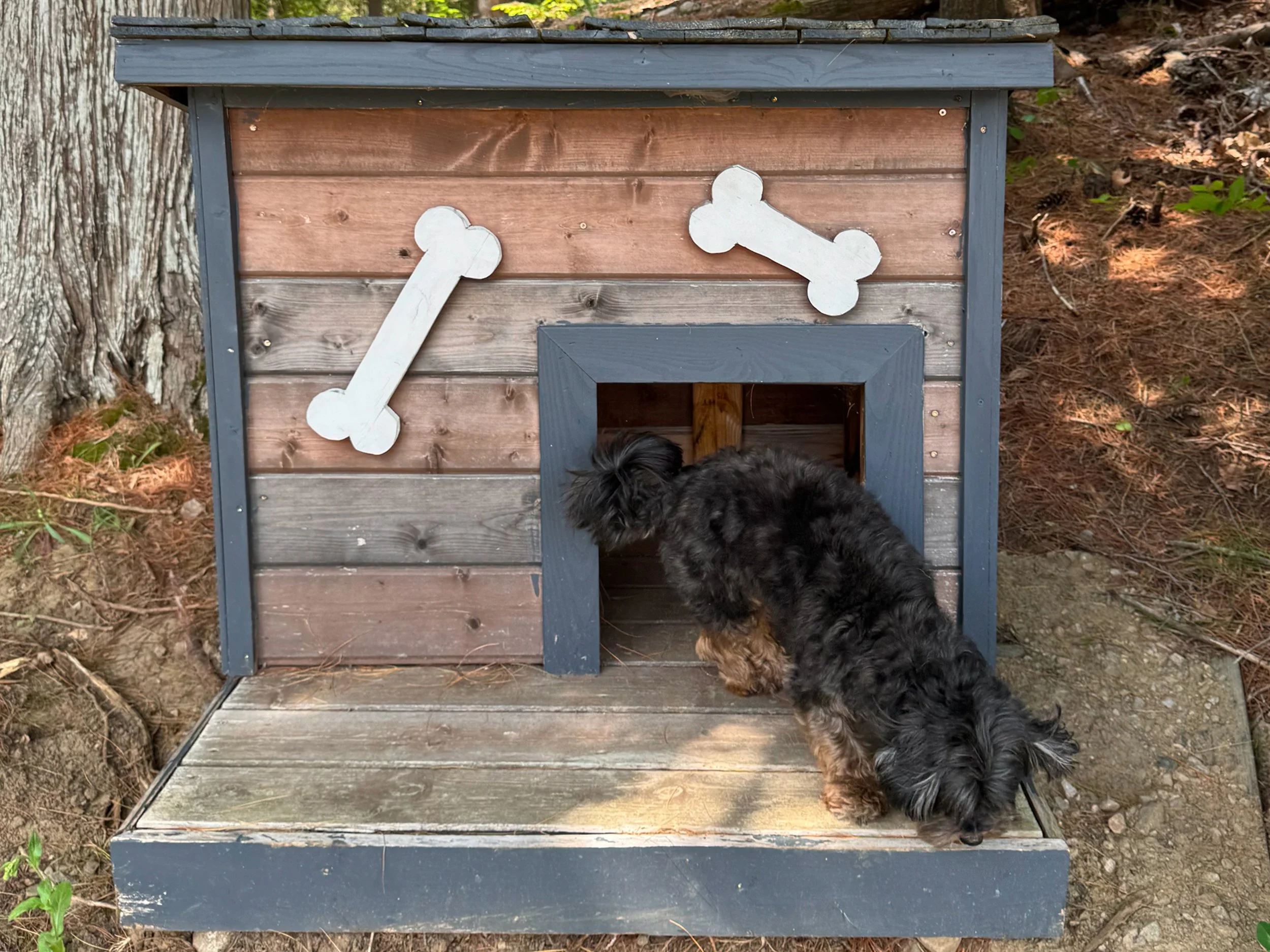 IMG_Dog House.jpg