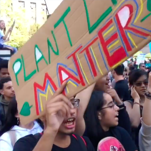 Screen Shot 2020-02-27 at 5.14.36 PM.png