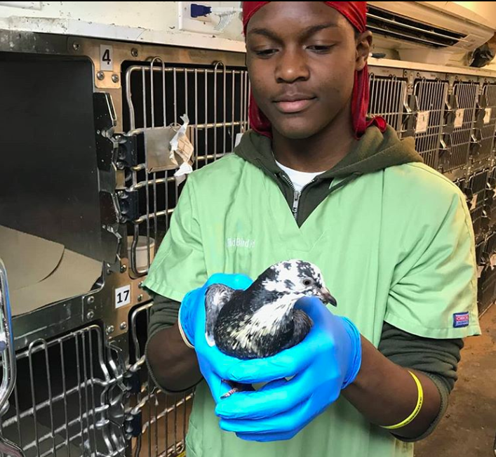 Screen Shot 2020-03-03 at 3.12.58 PM.png