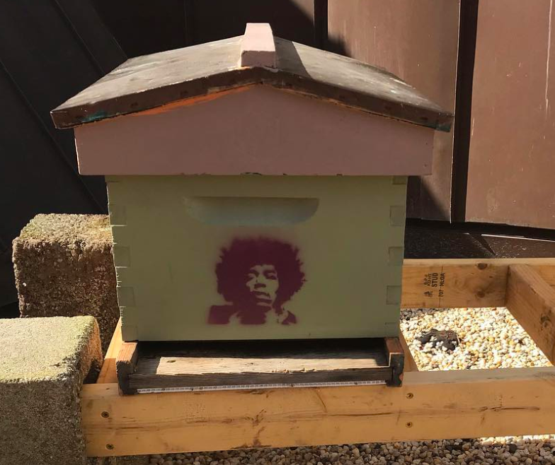 Screen Shot 2020-03-03 at 3.06.59 PM.png