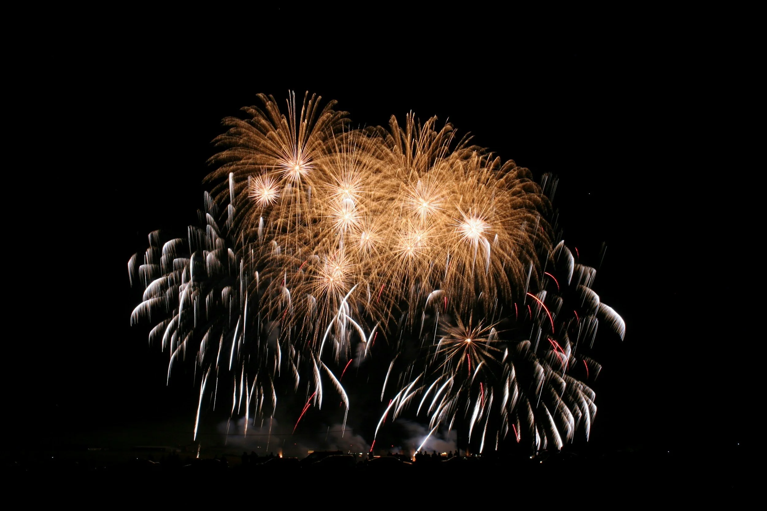 NEW YEAR'S DAY