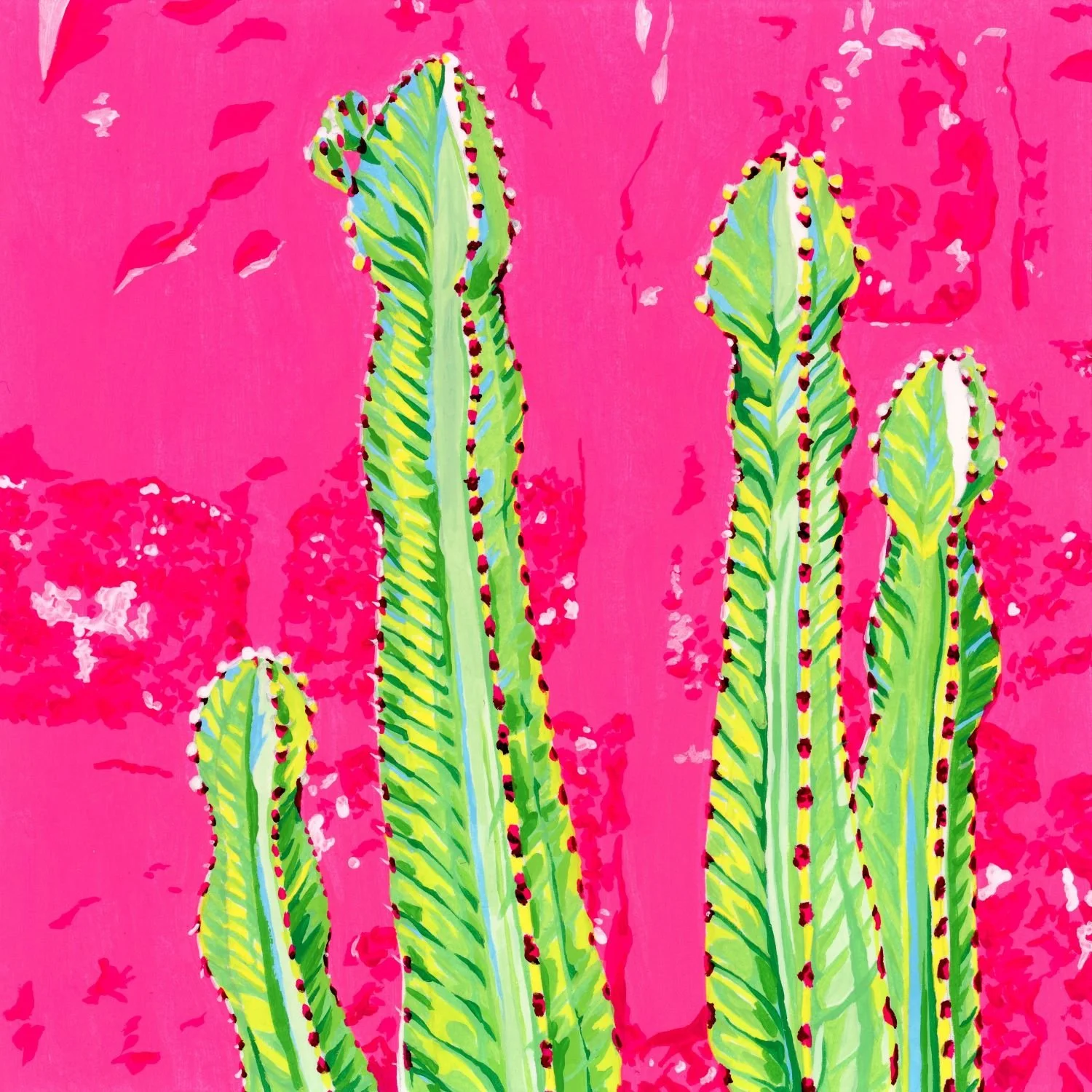 Cactus on Hot Pink
