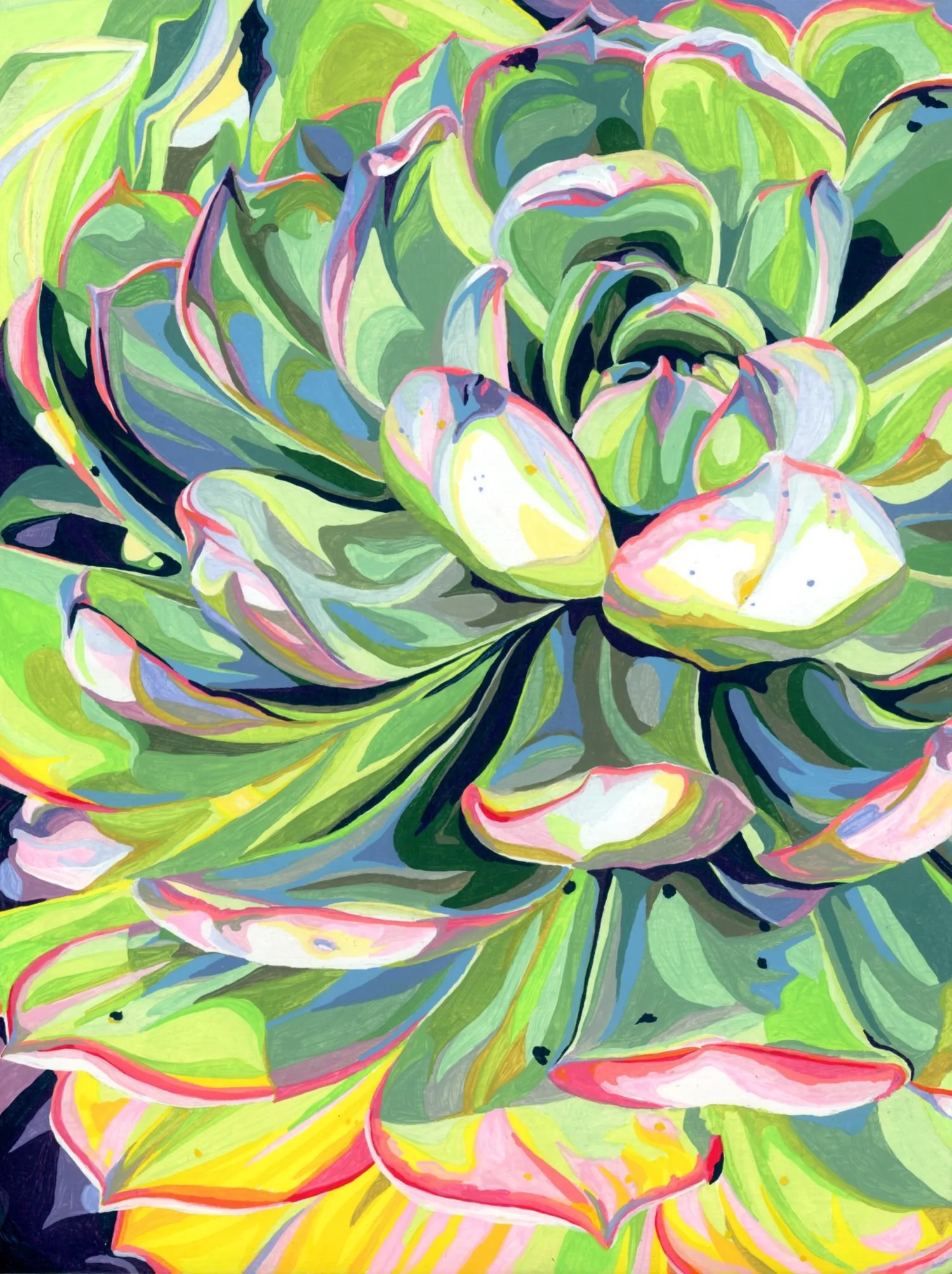 Rainbow Succulent no.2