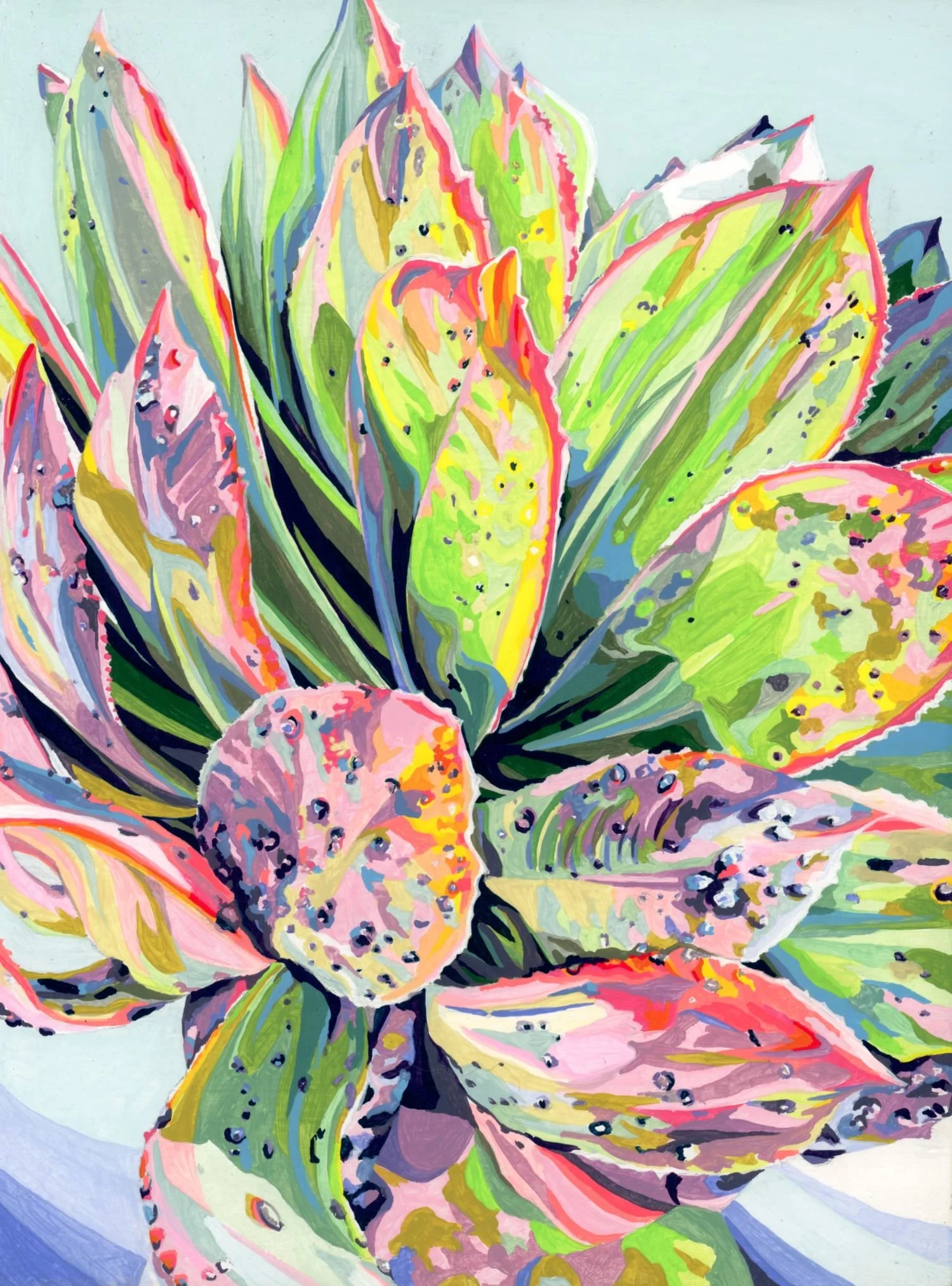Rainbow Succulent no.1