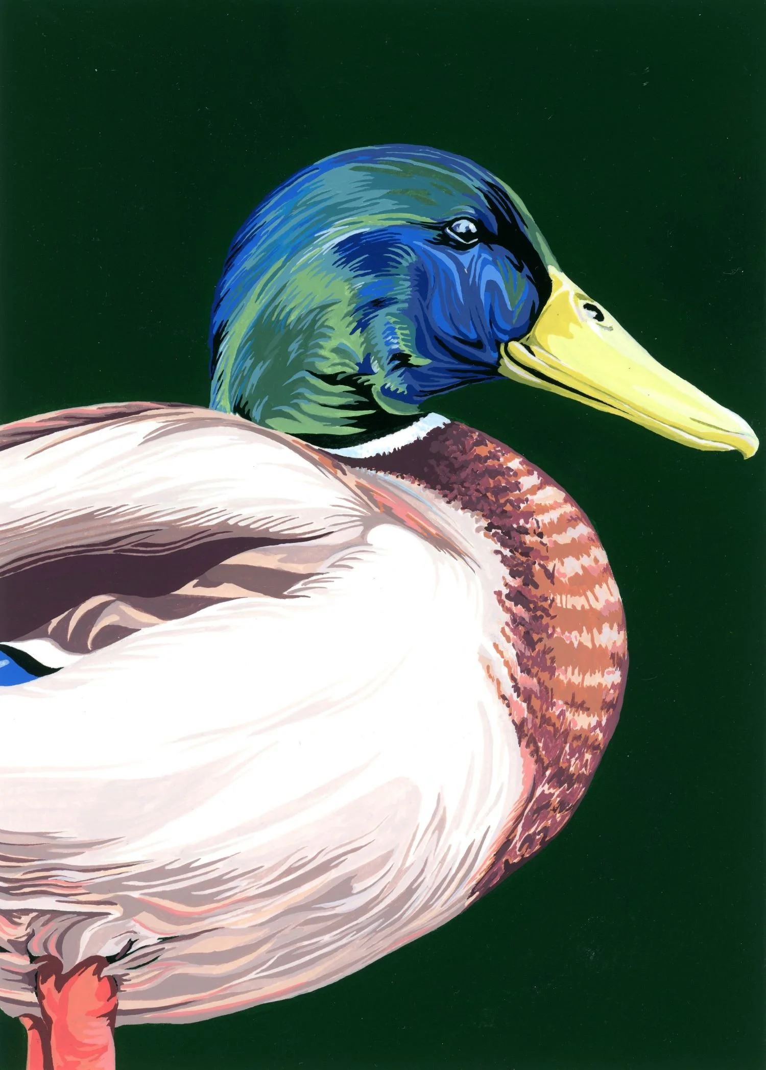 Duck on Pine Green