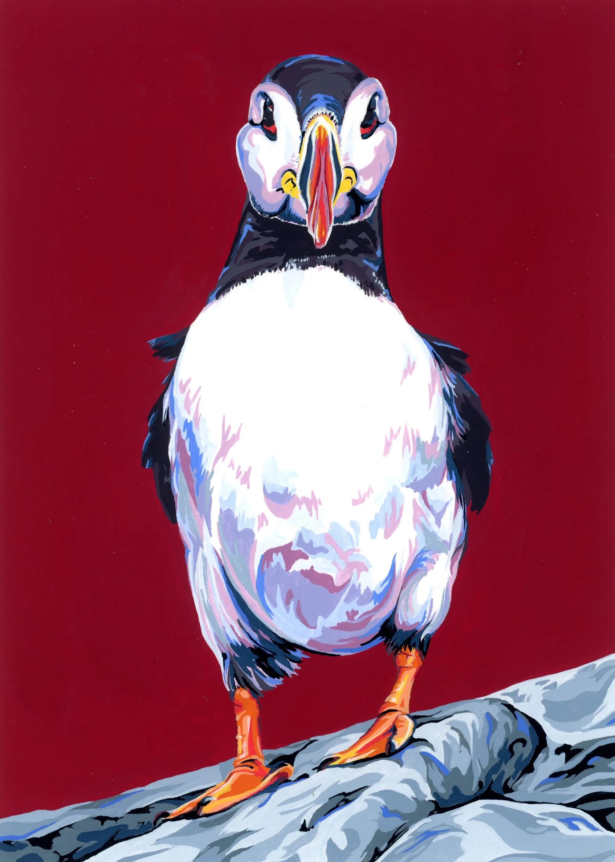 Puffin on Crimson
