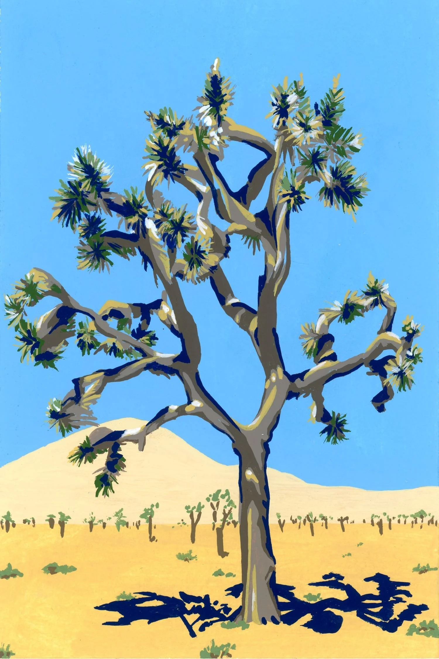 Joshua Tree JPEG low res.jpg