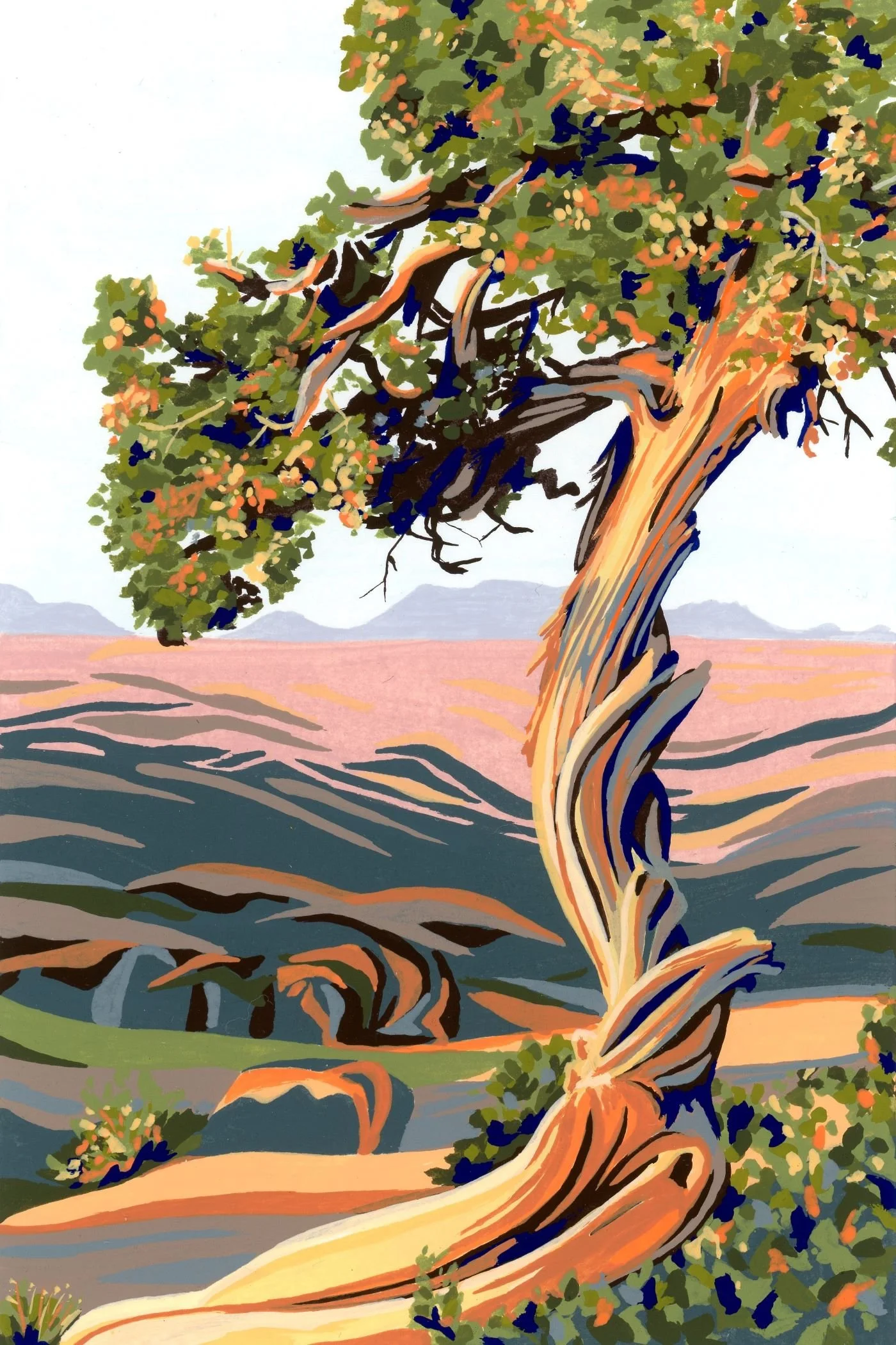 Dragon Point Juniper JPEG low res.jpg