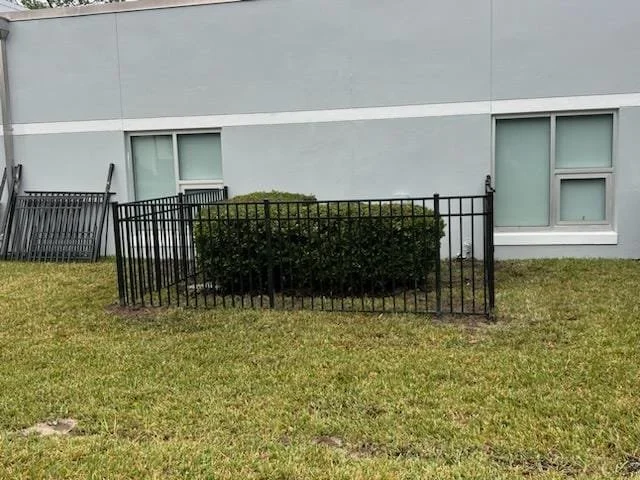 A small hedge surrounded by a black metal fence in front of a light gray building with windows.
