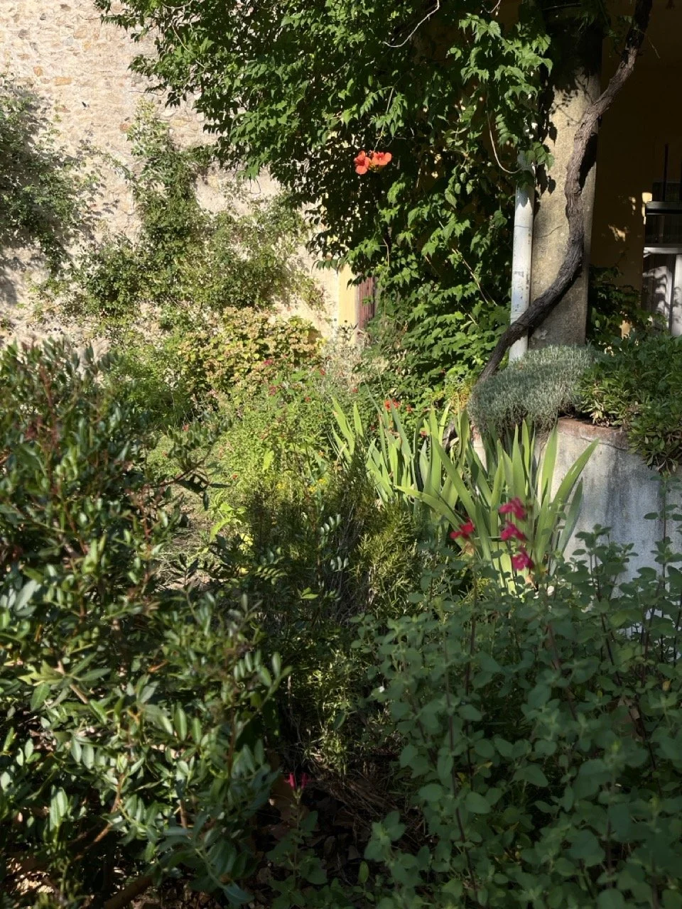 IMG_0038 - Grande.jpeg