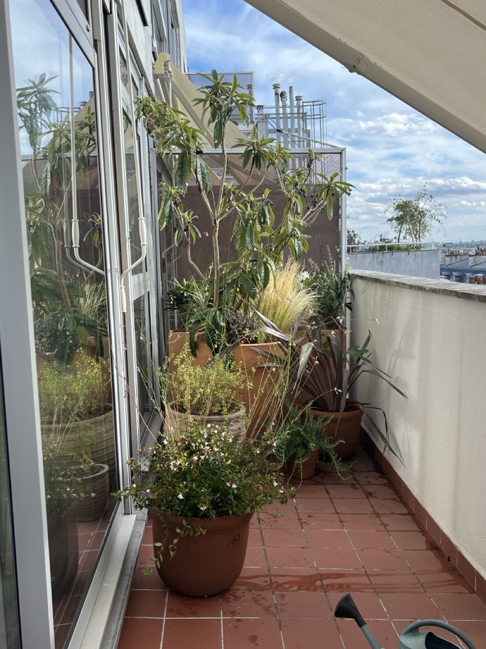 IMG_0248 - Grande.jpeg