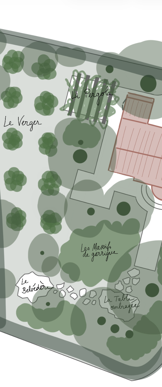 Plan croquis d'un jardin avec différentes zones végétalisées, notamment  Pergola, Verger, Massifs de garrigue, une table