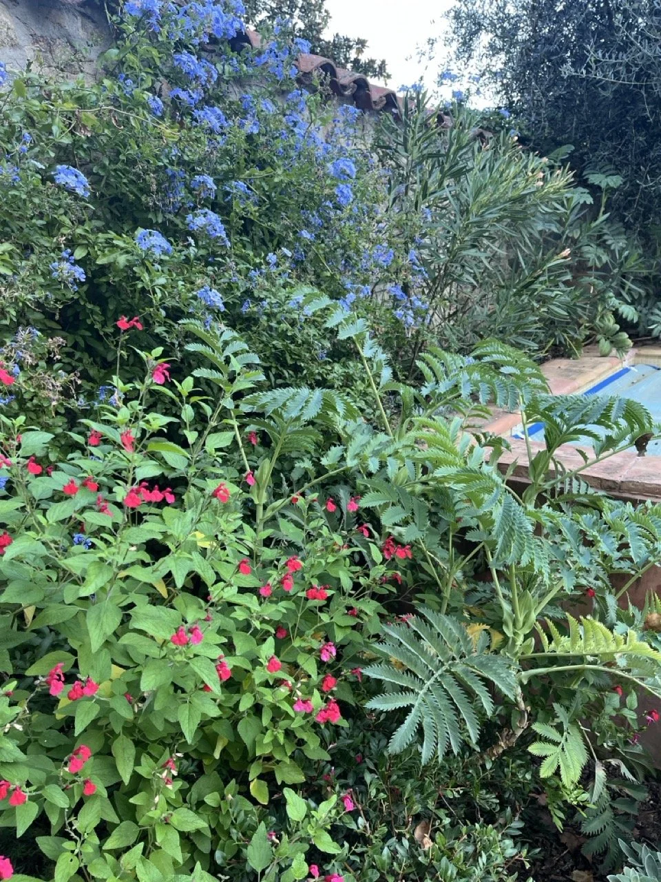 IMG_0683 - Grande.jpeg