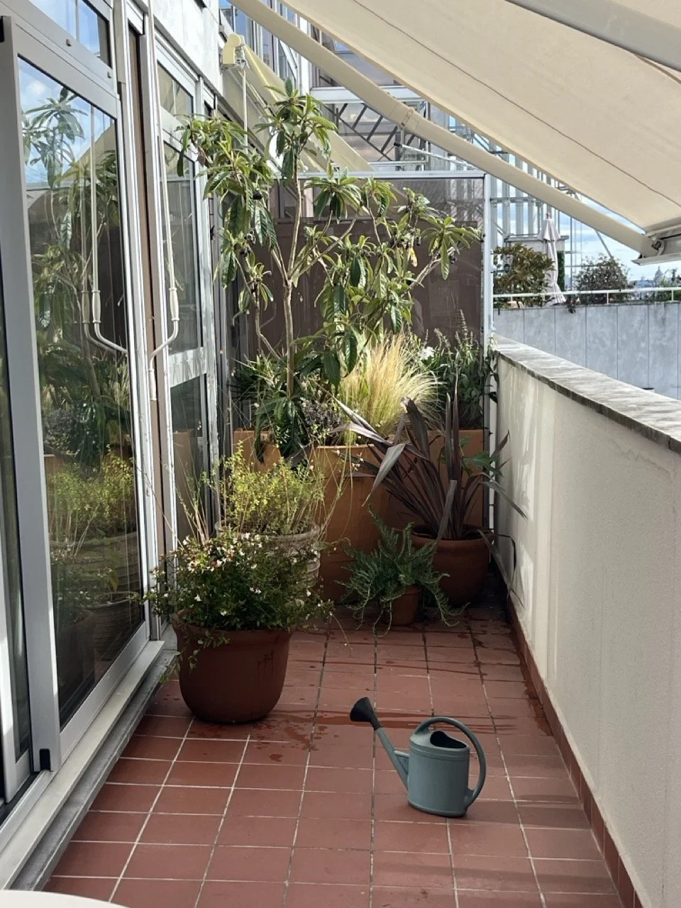 IMG_0236 - Grande.jpeg