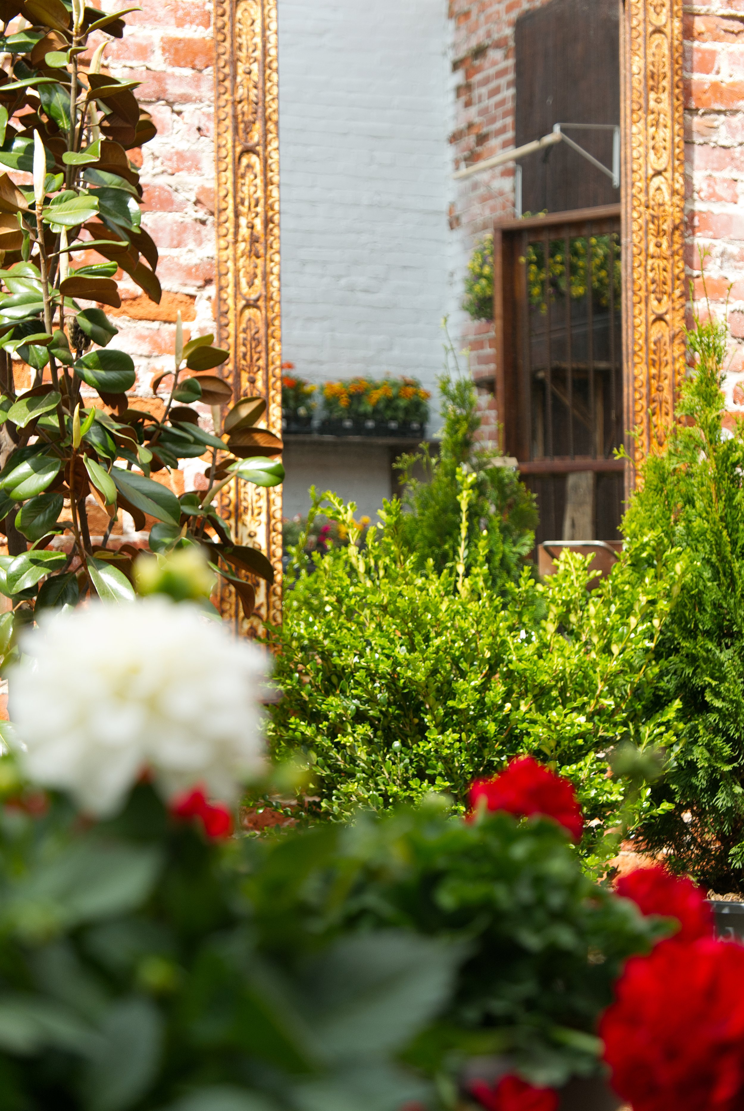 Ivy&Rye_Spring2026_Garden-4.jpg