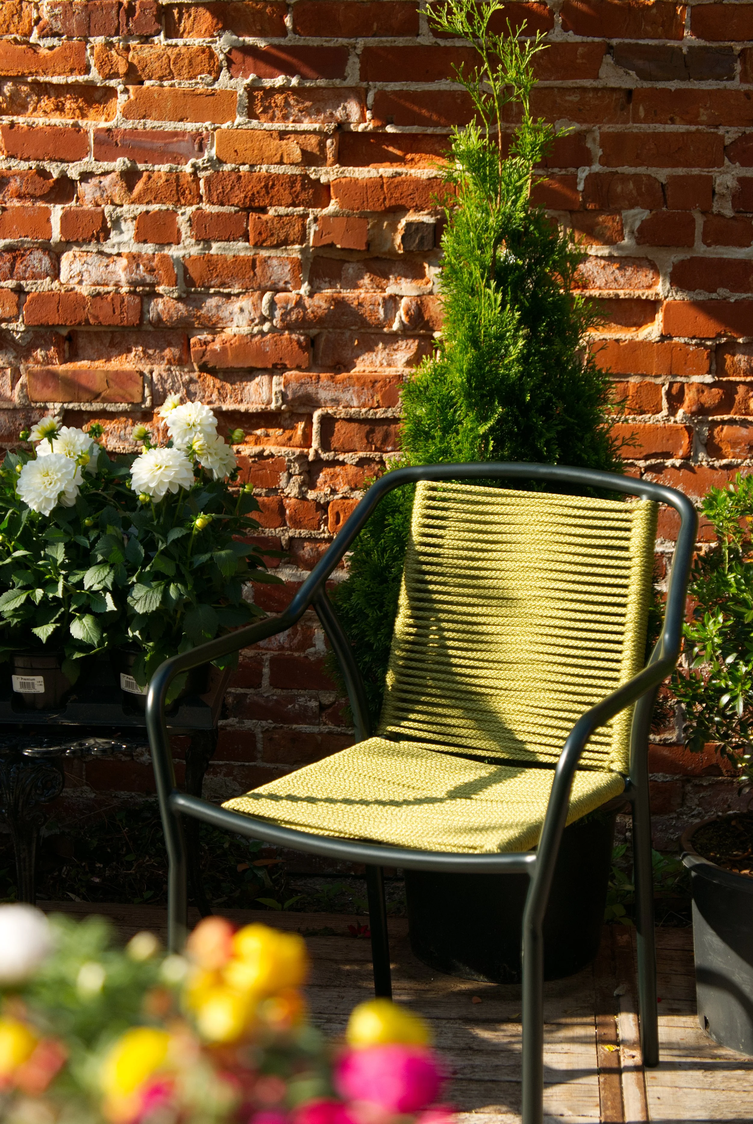 Ivy&Rye_Spring2026_Garden-27.jpg