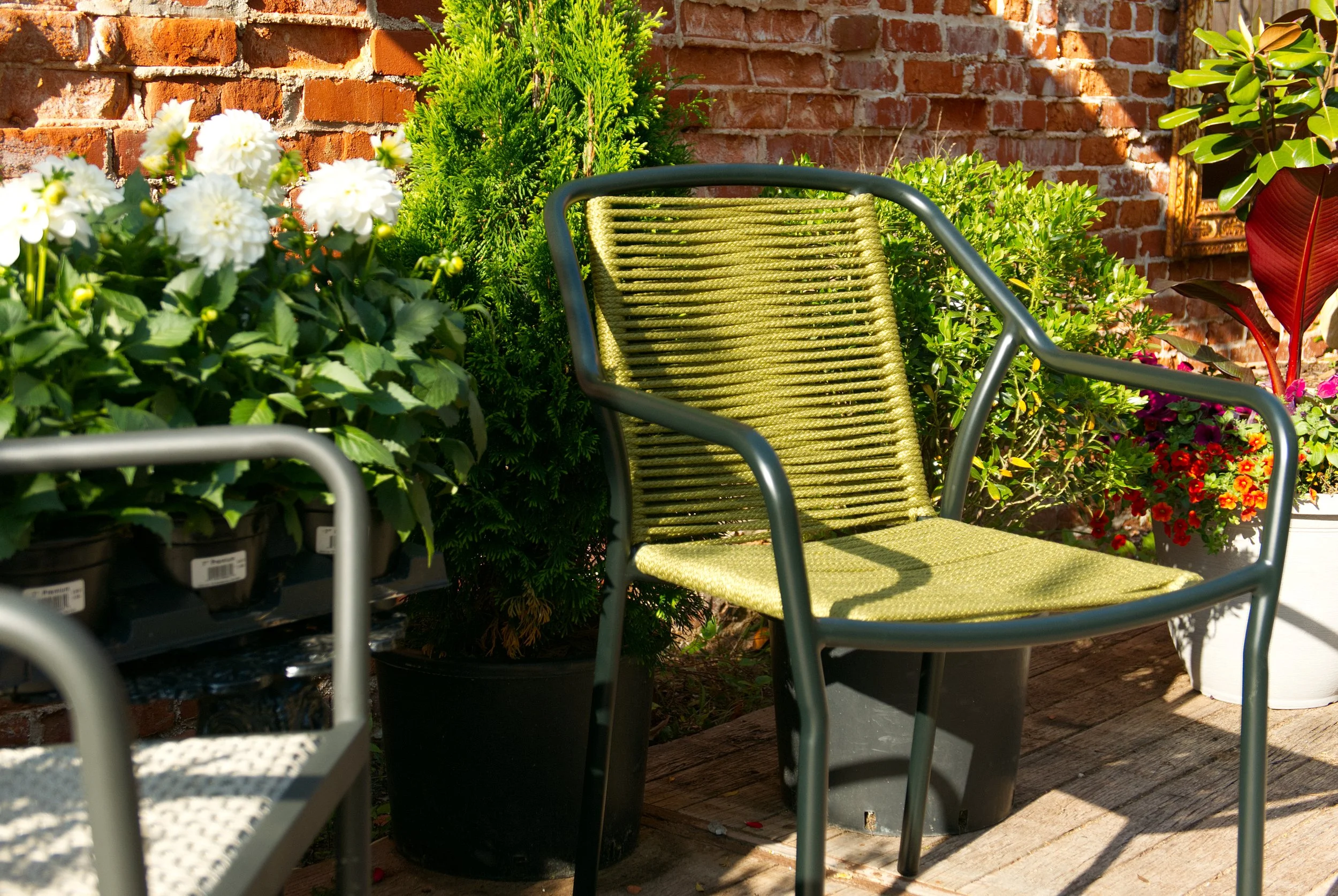 Ivy&Rye_Spring2026_Garden-25.jpg