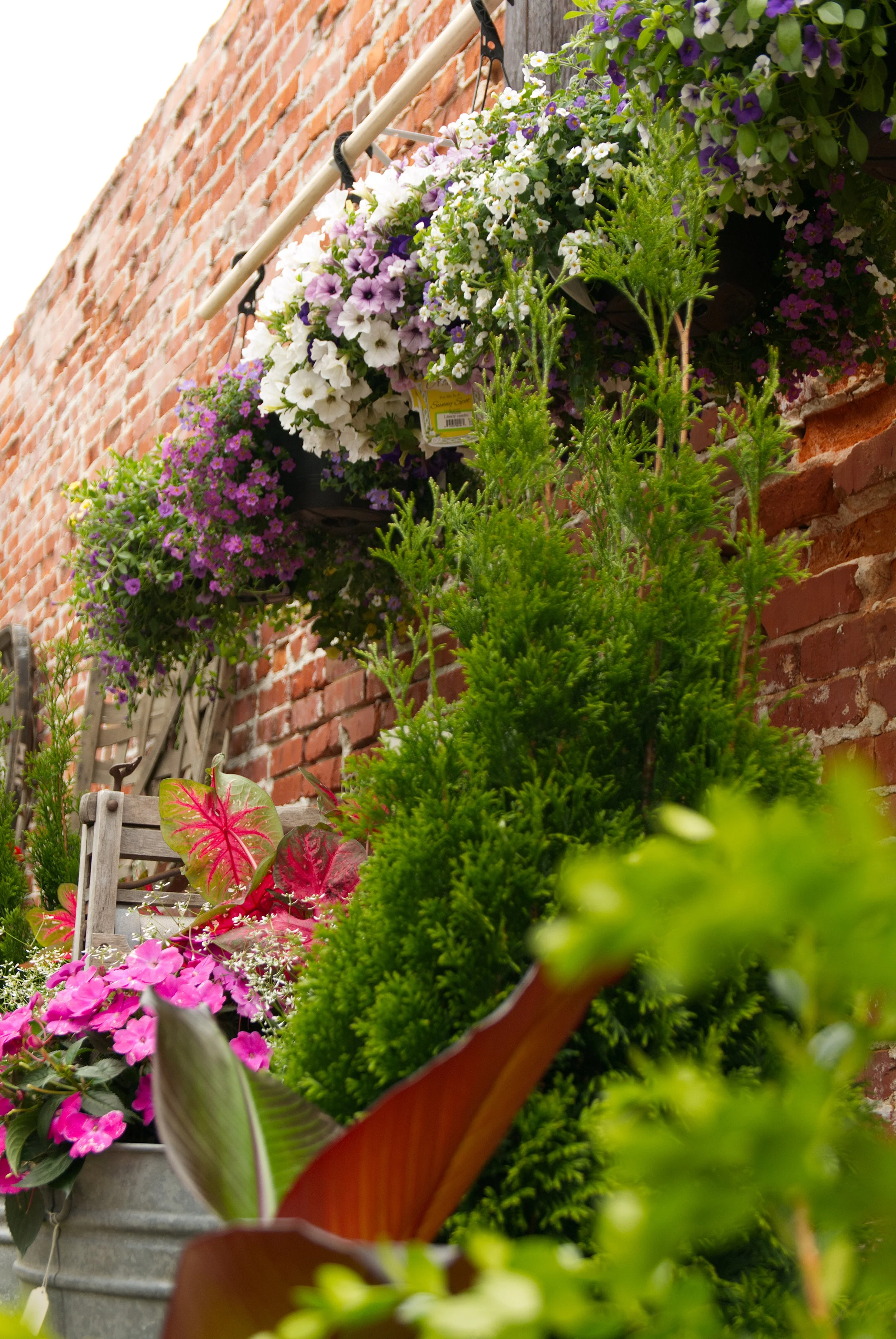 Ivy&Rye_Spring2026_Garden-15.jpg