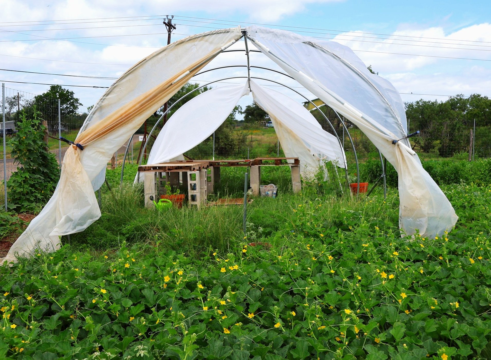 green house