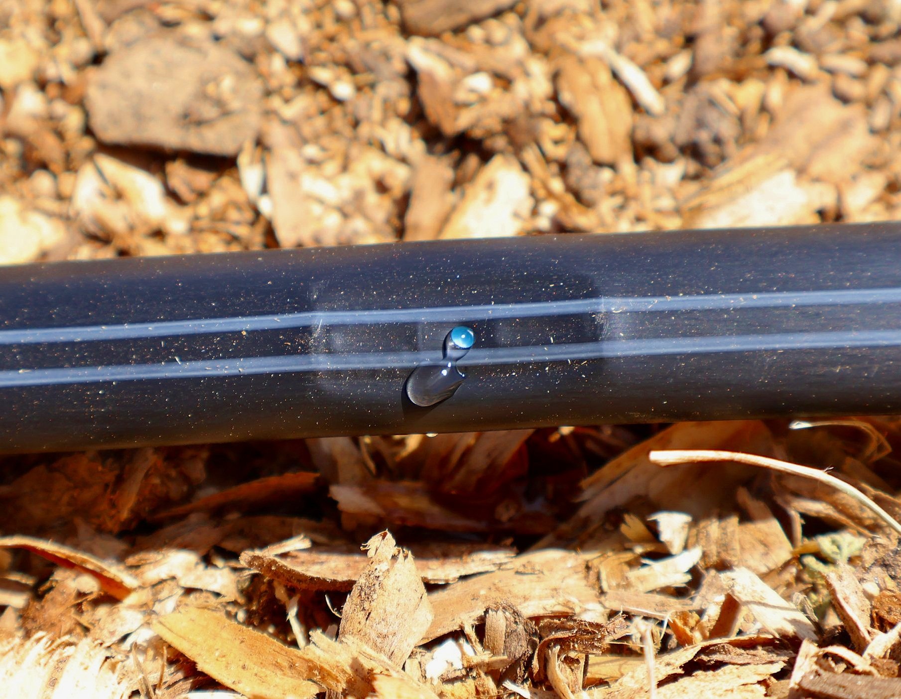 Drip Line