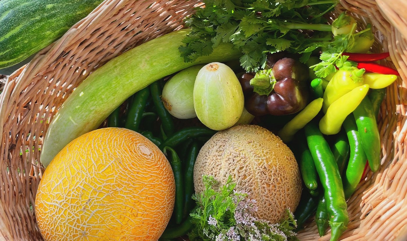 basket of produce