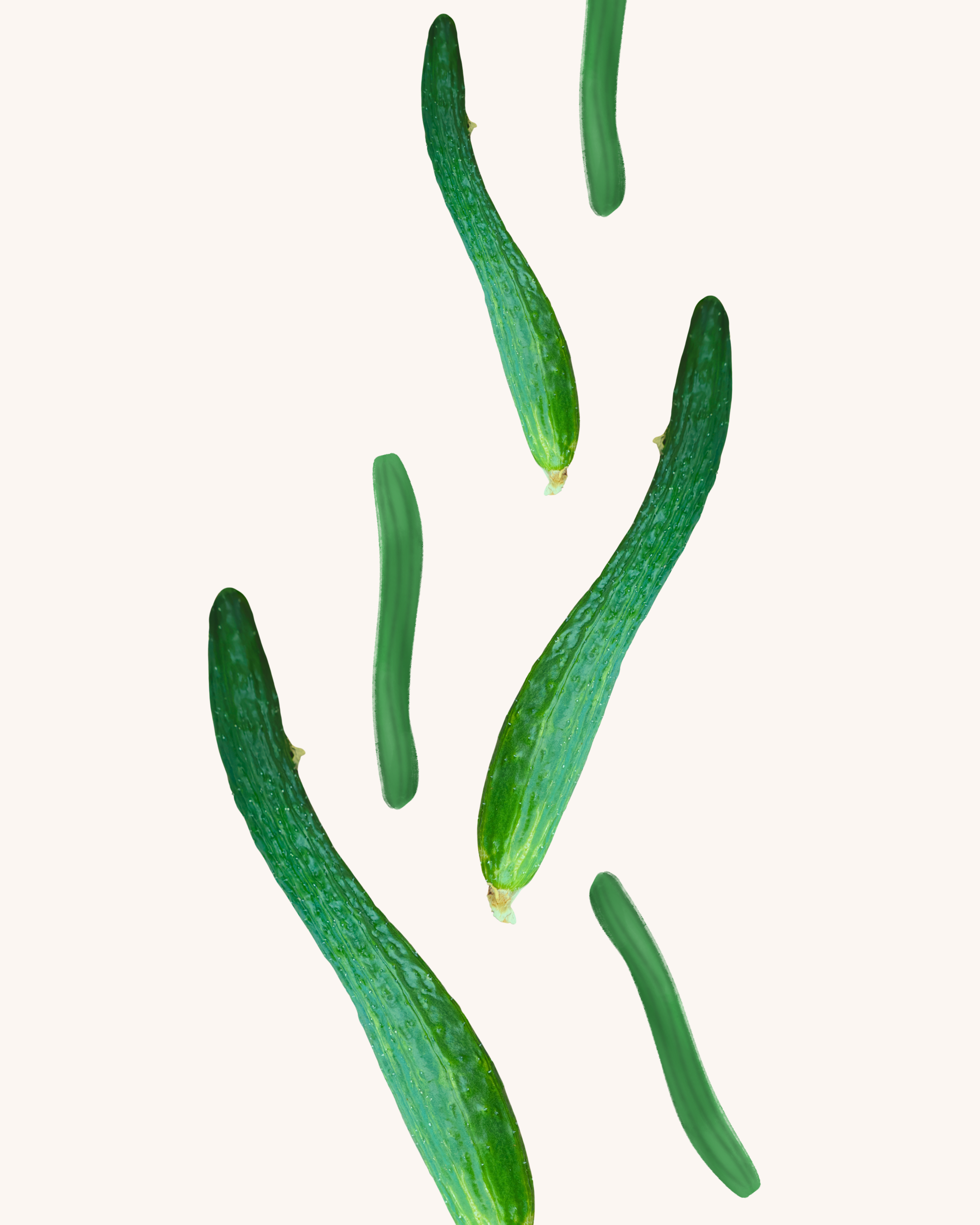 Organic Suyo Long Cucumber