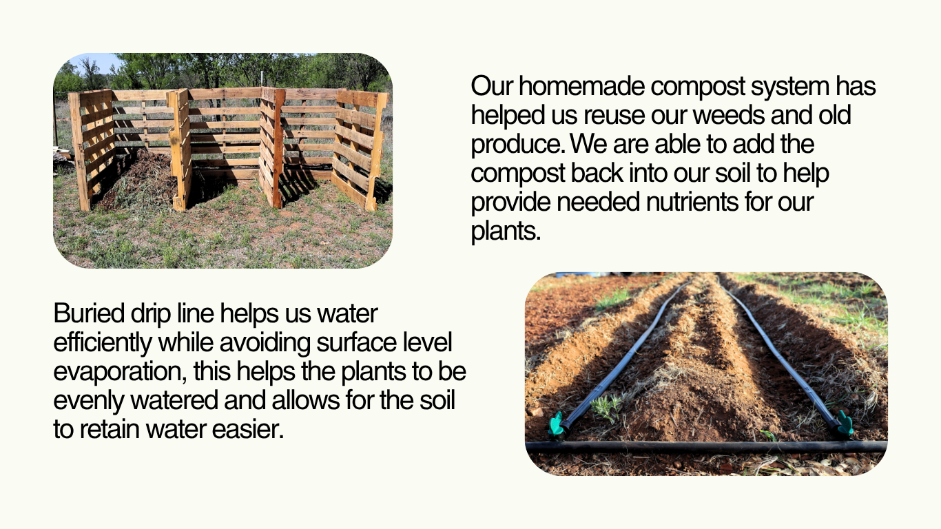 Compost and dripline