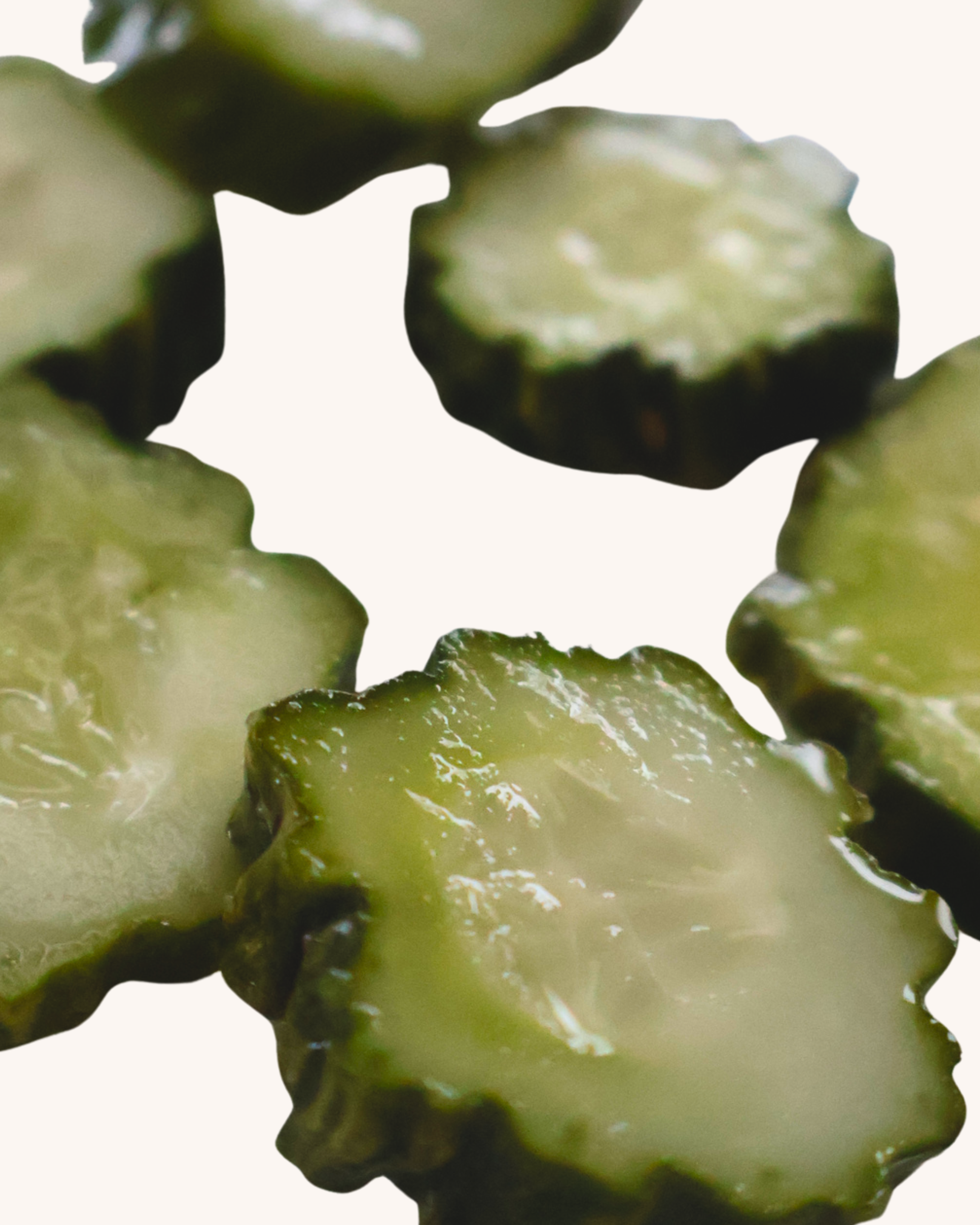 Organic Garden Salsa Pickles