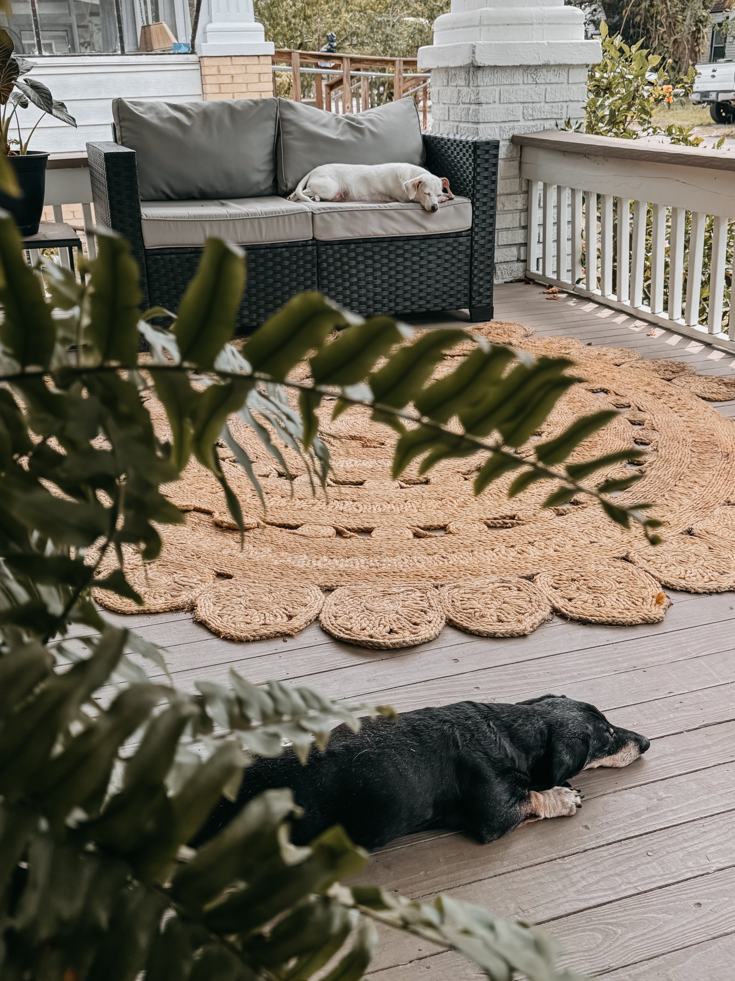 A black and tan dog lying on a wooden porch next to a woven black outdoor sofa with gray cushions. A white dog is sleeping on the cushions on the sofa. The porch has a white railing, some plants, and a tan woven rug on the floor.