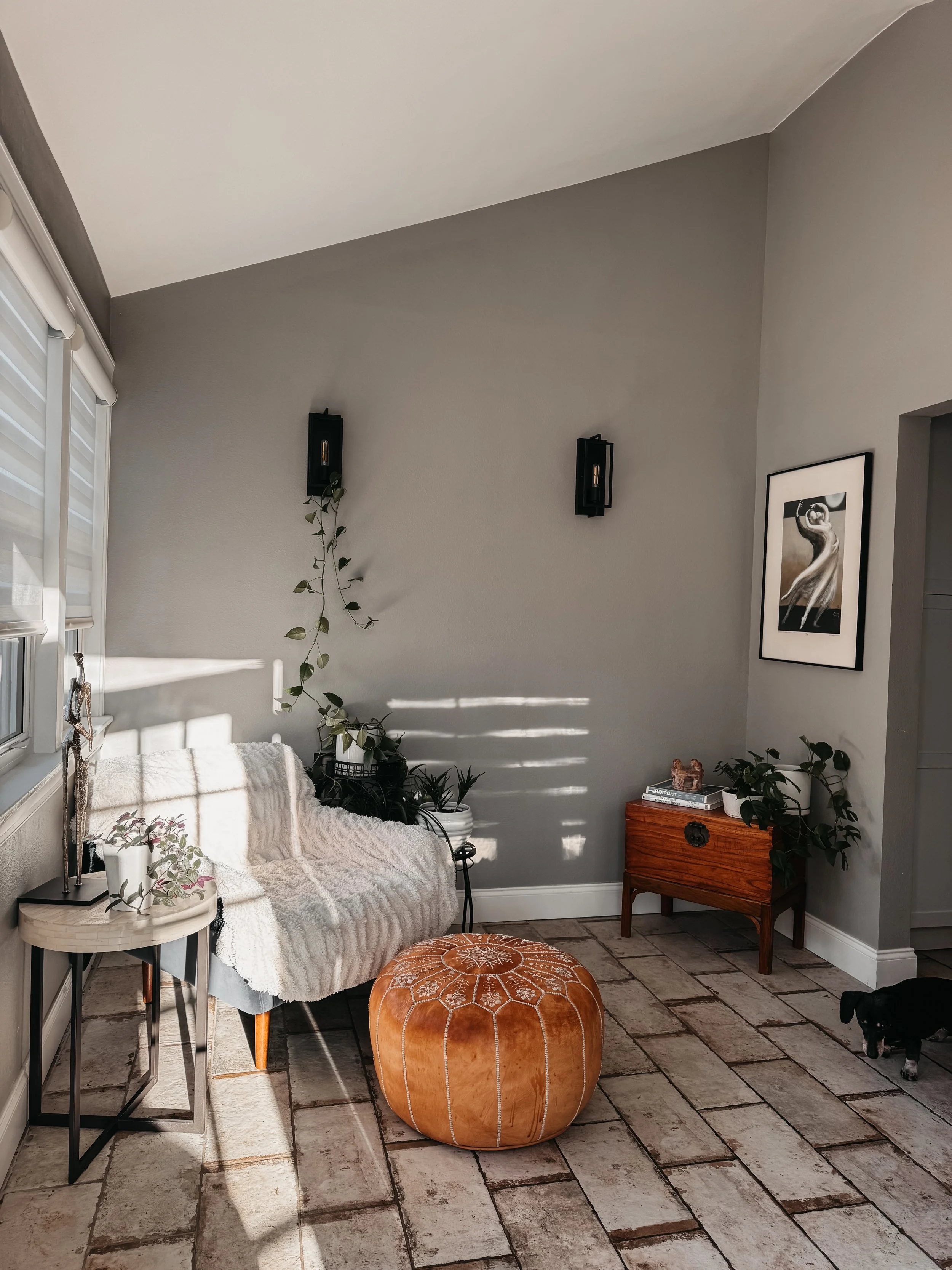 Living room corner with gray walls, framed black and white art, black wall sconces, a beige sofa with a white blanket, a small white side table with potted plants, a round leather ottoman, a wooden side table with books and decor, and a small dog.