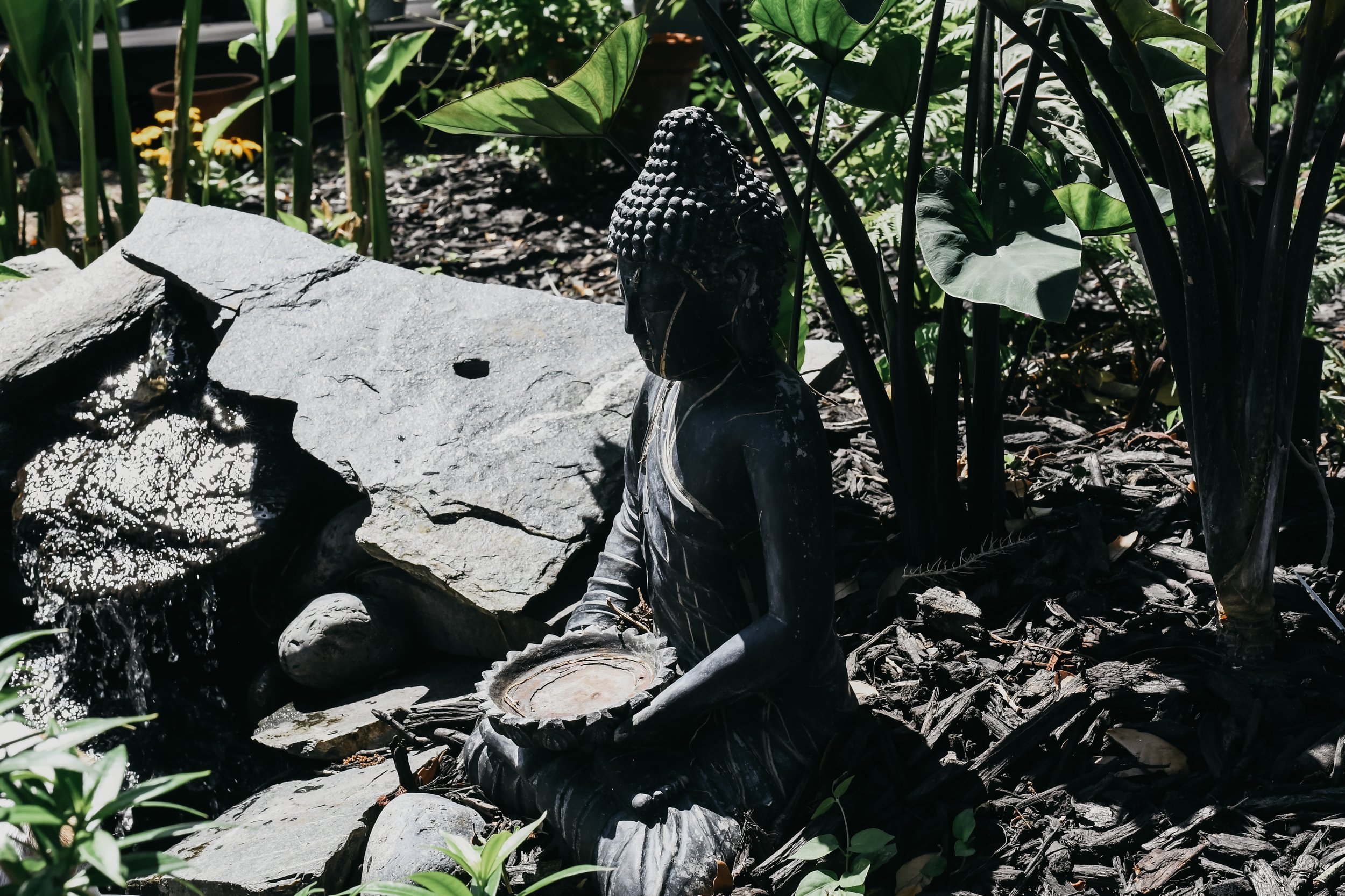 A stone water feature surrounded by plants, including a carved Buddha head sculpture and yellow flowers.