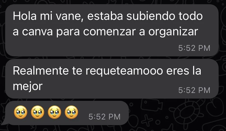 The Light Arts, Brand design testimonial